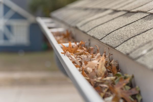 Leaf Barrier Installation in Tucker