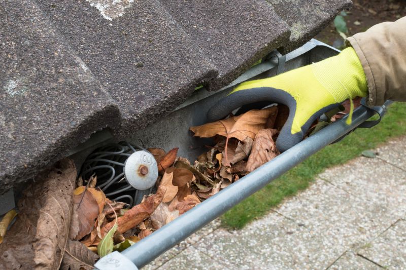 Cleaning Gutters Before Fall